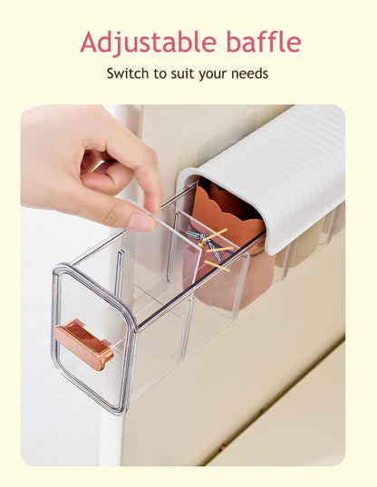 Socks Underwear Wall Mounted Drawer Organizer